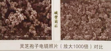 �`֥���ӷ�ʹ���f(shu��)����B